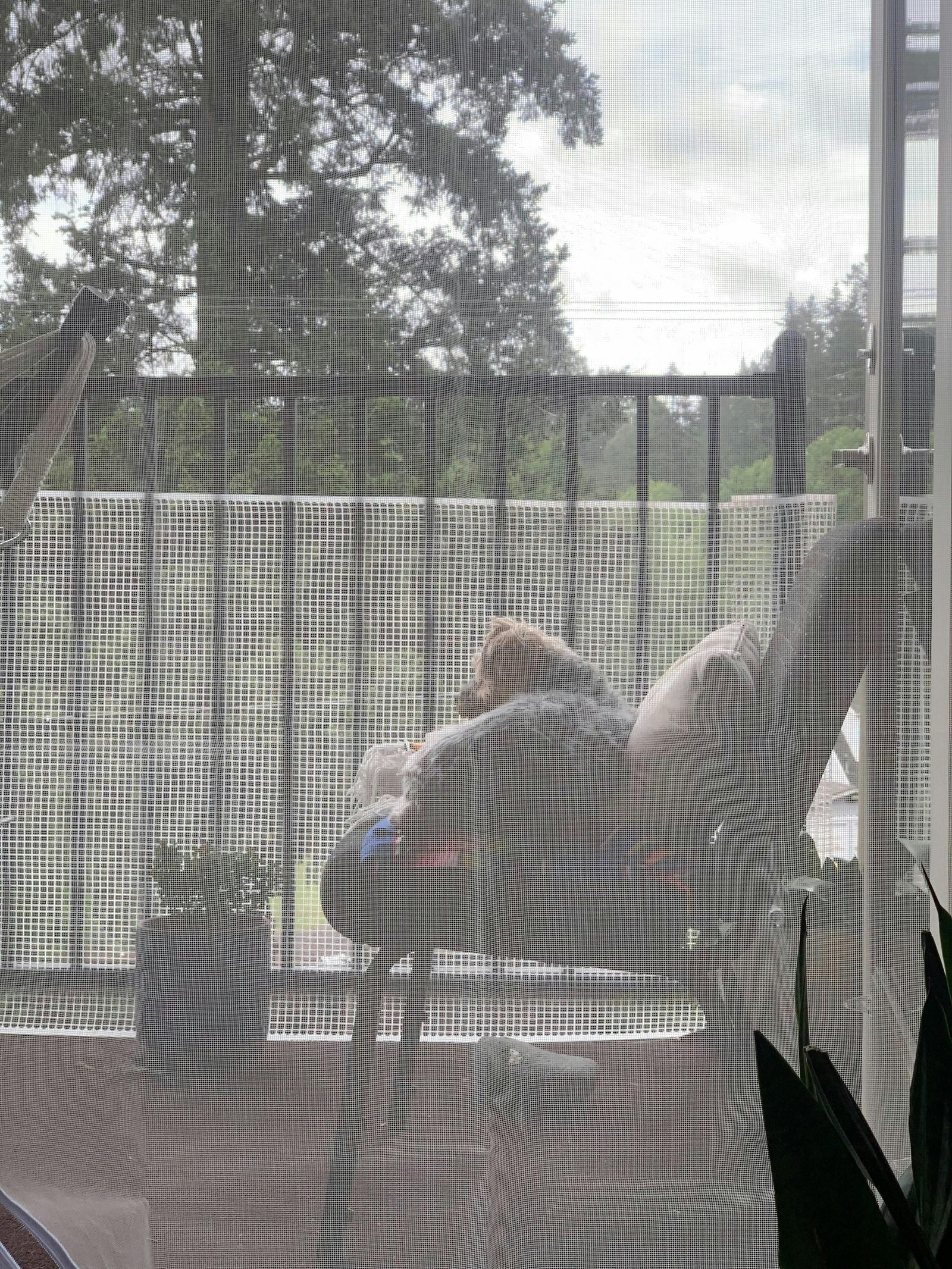 Beneficios del portabebés para el descanso del bebé