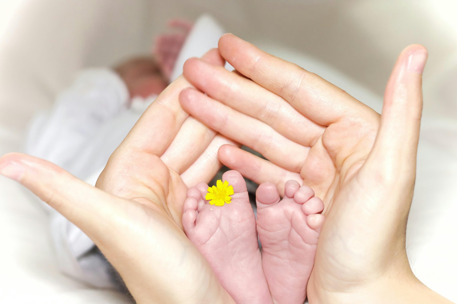 Porteo en la etapa neonatal: características y recomendaciones